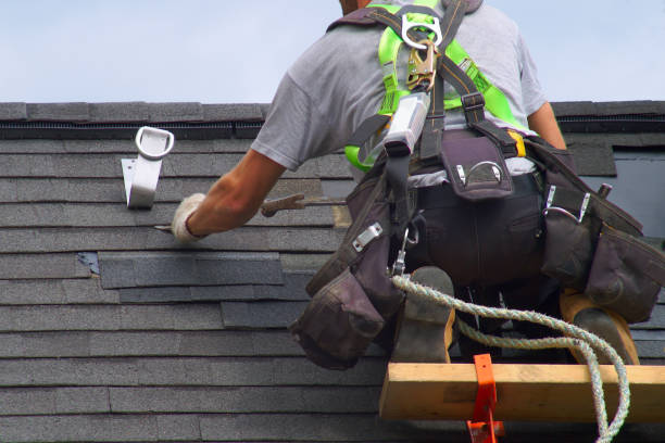 Best Roof Gutter Cleaning  in West Ack, NY