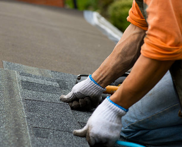Best Local Roofing Companies  in West Ack, NY